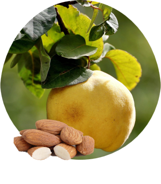 Birsalmalekvár mandulával