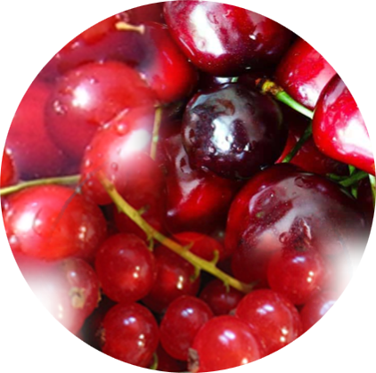 Piros ribiszke-meggy-cseresznye lekvár